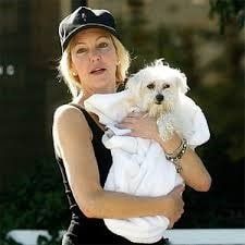 Heather-Locklear-maltese-dog